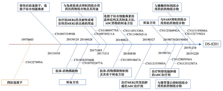 20230117-大分子药物的专利布局-破局王者之DS-8201-3.jpg